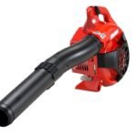 Soffiatore Shindaiwa EB252