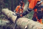 Motosega Husqvarna 564 XP Fuel Inject - immagine 3
